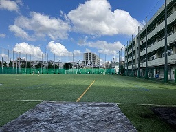 Image (2)